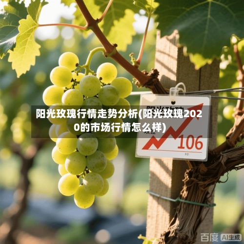 阳光玫瑰行情走势分析(阳光玫瑰2020的市场行情怎么样)-第2张图片