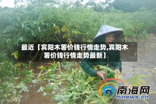 最近【宾阳木薯价钱行情走势,宾阳木薯价钱行情走势最新】-第3张图片