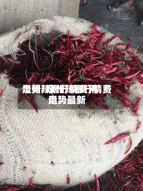 泉州辣椒行情费用走势/泉州辣椒行情费用走势最新