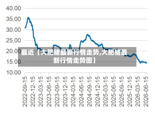 最近【大肥猪最新行情走势,大肥猪最新行情走势图】