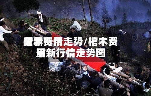 棺木费用最新行情走势/棺木费用最新行情走势图