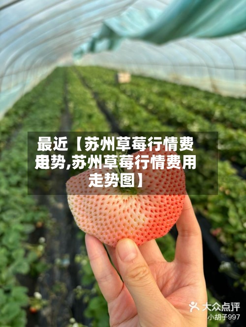 最近【苏州草莓行情费用走势,苏州草莓行情费用走势图】