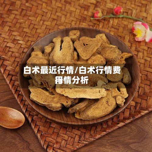 白术最近行情/白术行情费用行情分析-第2张图片