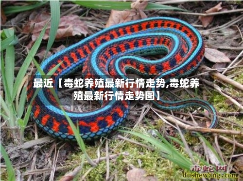 最近【毒蛇养殖最新行情走势,毒蛇养殖最新行情走势图】