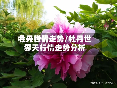牡丹世界
今天行情走势/牡丹世界
今天行情走势分析