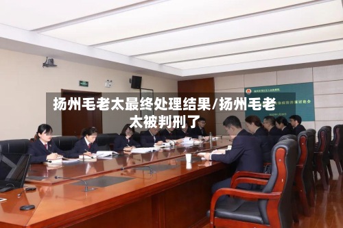 扬州毛老太最终处理结果/扬州毛老太被判刑了-第3张图片