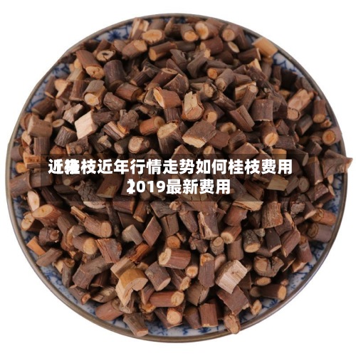 近来【桂枝近年行情走势如何桂枝费用2019最新费用】