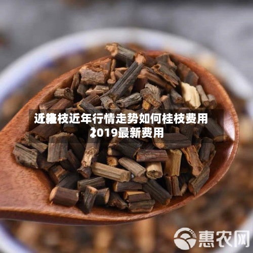 近来【桂枝近年行情走势如何桂枝费用2019最新费用】-第3张图片