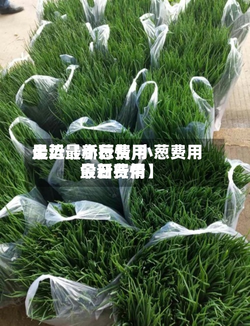 最近【小葱费用走势最新行情,小葱费用今日费用最新行情】-第2张图片