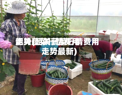 韶关蔬菜行情费用走势(韶关蔬菜行情费用走势最新)