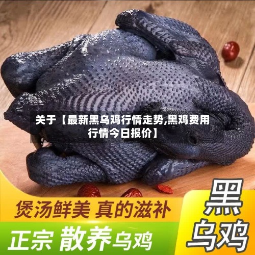 关于【最新黑乌鸡行情走势,黑鸡费用行情今日报价】
