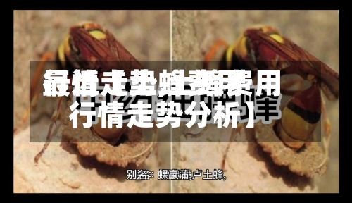 最近【土蜂费用行情走势,土蜂费用行情走势分析】