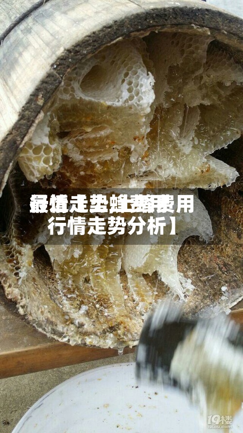 最近【土蜂费用行情走势,土蜂费用行情走势分析】-第2张图片