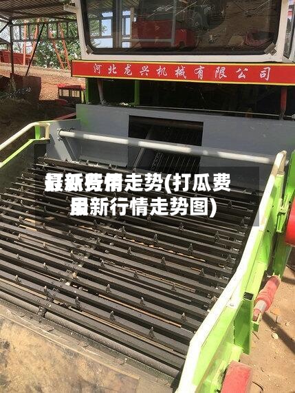 打瓜费用最新行情走势(打瓜费用最新行情走势图)-第2张图片