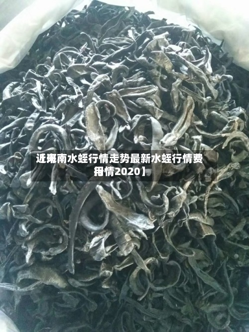 近来【河南水蛭行情走势最新水蛭行情费用行情2020】-第2张图片
