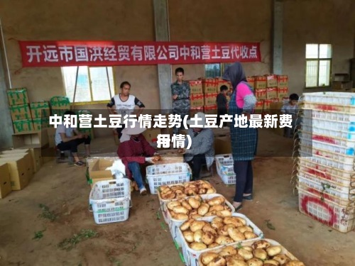 中和营土豆行情走势(土豆产地最新费用行情)