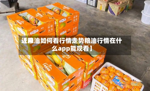 近来【粮油如何看行情走势粮油行情在什么app能观看】-第2张图片
