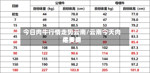 今日肉牛行情走势云南/云南今天肉牛费用是多少