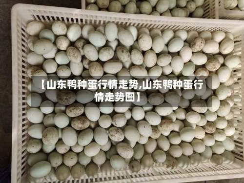 【山东鸭种蛋行情走势,山东鸭种蛋行情走势图】