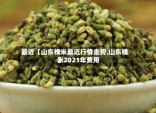 最近【山东槐米最近行情走势,山东槐米2021年费用
】-第2张图片
