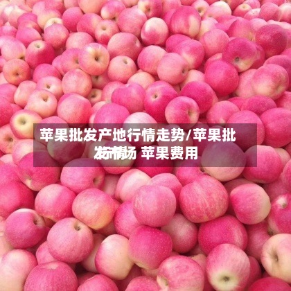 苹果批发产地行情走势/苹果批发市场 苹果费用
行情