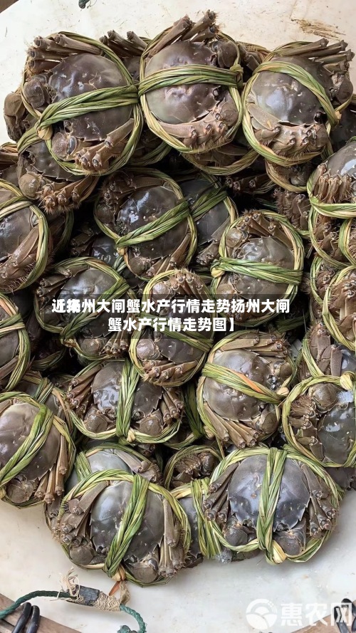 近来【扬州大闸蟹水产行情走势扬州大闸蟹水产行情走势图】-第3张图片
