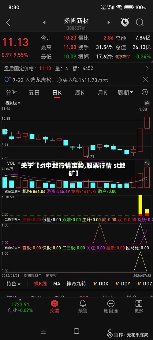 关于【st中地行情走势,股票行情 st地矿】-第2张图片