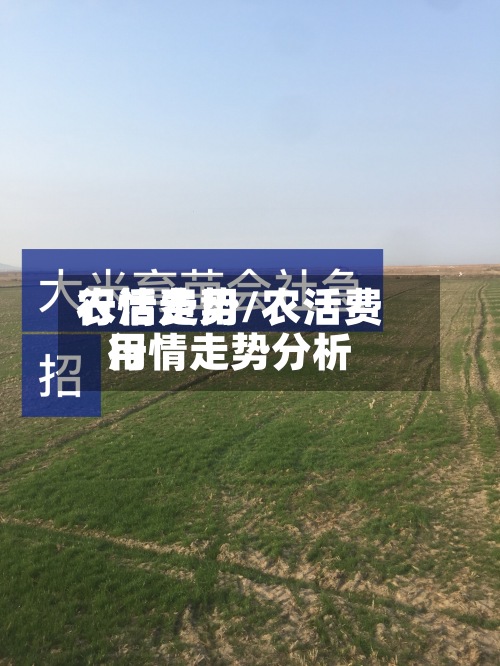 农活费用
行情走势/农活费用
行情走势分析