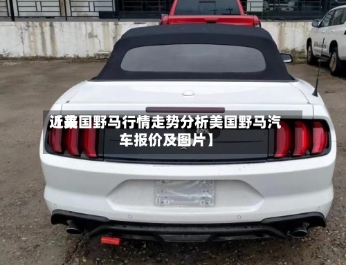 近来【美国野马行情走势分析美国野马汽车报价及图片】-第2张图片