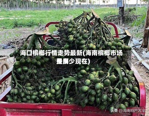 海口槟榔行情走势最新(海南槟榔市场费用是多少现在)-第2张图片