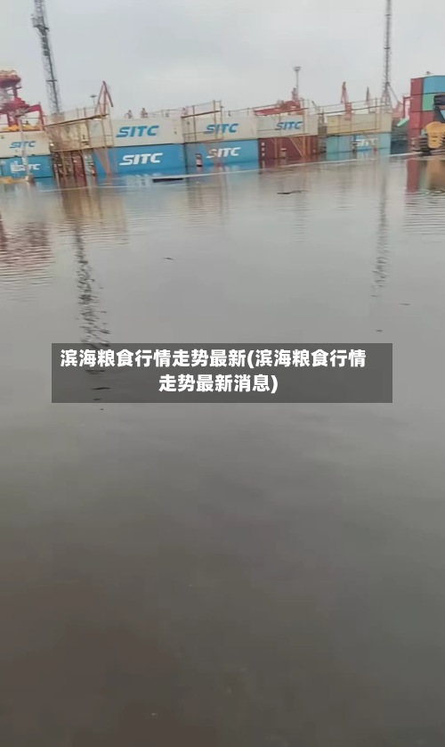 滨海粮食行情走势最新(滨海粮食行情走势最新消息)