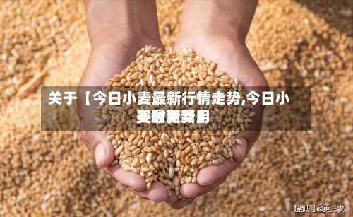 关于【今日小麦最新行情走势,今日小麦最新费用实时更新】