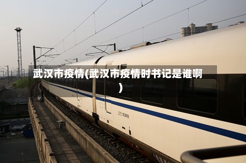 武汉市疫情(武汉市疫情时书记是谁啊)-第3张图片