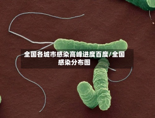 全国各城市感染高峰进度百度/全国感染分布图