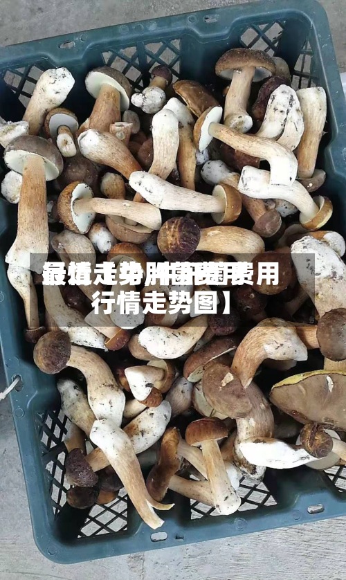 最近【牛肝菌费用行情走势,牛肝菌费用行情走势图】-第2张图片