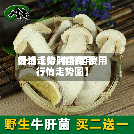 最近【牛肝菌费用行情走势,牛肝菌费用行情走势图】
