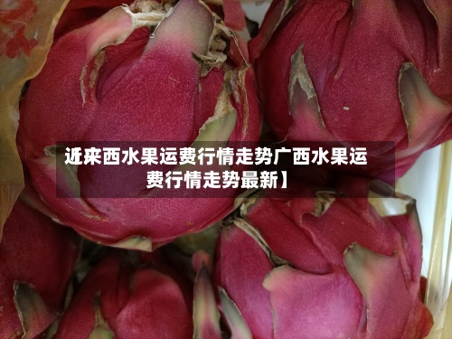 近来【广西水果运费行情走势广西水果运费行情走势最新】