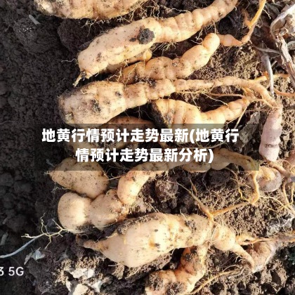 地黄行情预计走势最新(地黄行情预计走势最新分析)-第3张图片