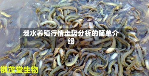 淡水养殖行情走势分析的简单介绍