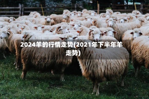 2024羊的行情走势(2021年下半年羊走势)-第2张图片