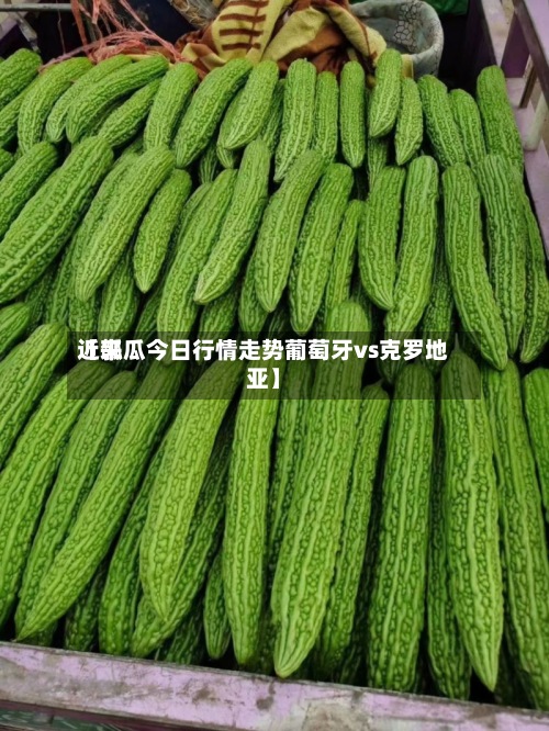 近来
【瓠瓜今日行情走势葡萄牙vs克罗地亚】-第2张图片