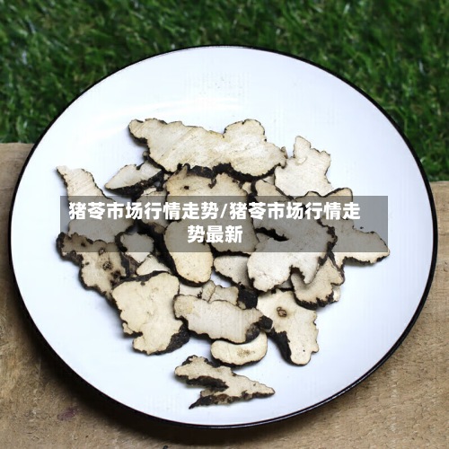 猪苓市场行情走势/猪苓市场行情走势最新-第3张图片