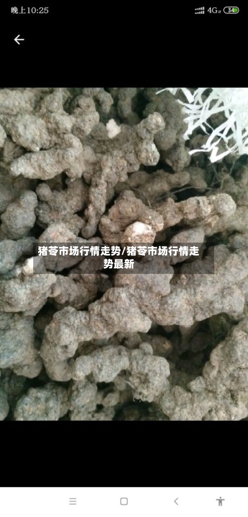 猪苓市场行情走势/猪苓市场行情走势最新-第2张图片