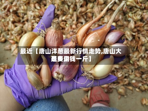 最近【唐山洋葱最新行情走势,唐山大葱费用是多少钱一斤】-第2张图片