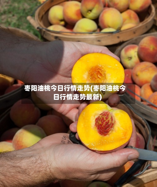 枣阳油桃今日行情走势(枣阳油桃今日行情走势最新)-第3张图片