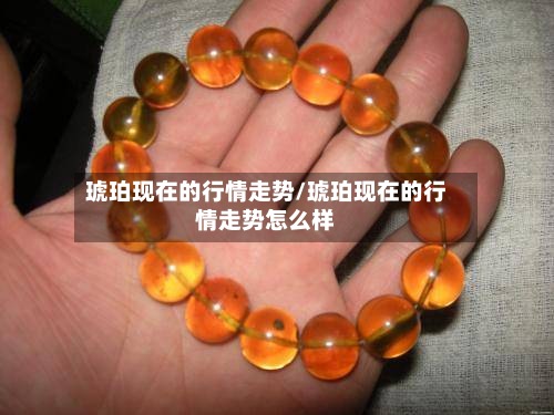 琥珀现在的行情走势/琥珀现在的行情走势怎么样-第3张图片