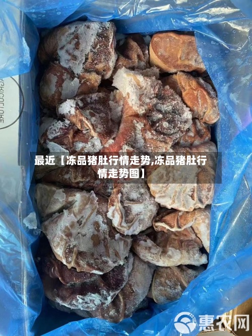 最近【冻品猪肚行情走势,冻品猪肚行情走势图】