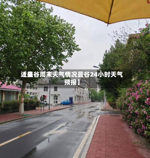 近来【曼谷周末天气情况曼谷24小时天气预报】