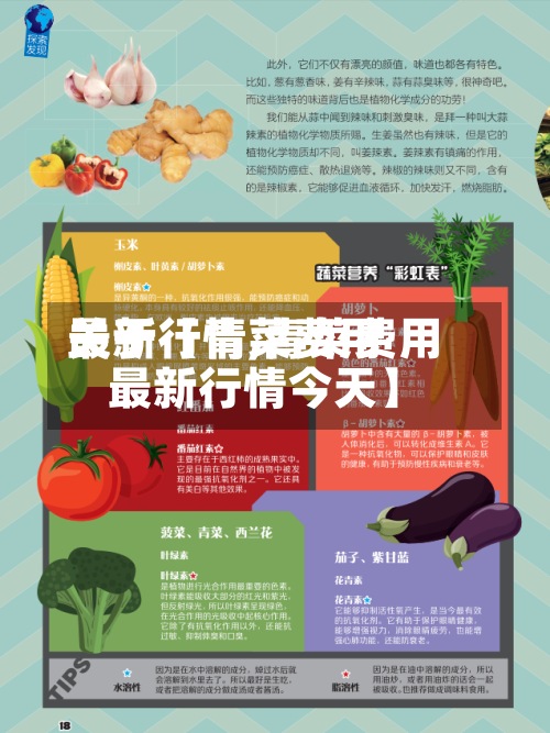 关于【青菜费用最新行情,青菜费用最新行情今天】-第3张图片