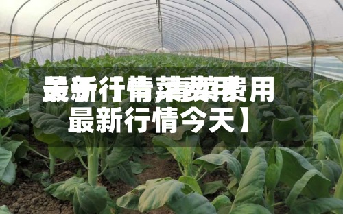 关于【青菜费用最新行情,青菜费用最新行情今天】-第2张图片